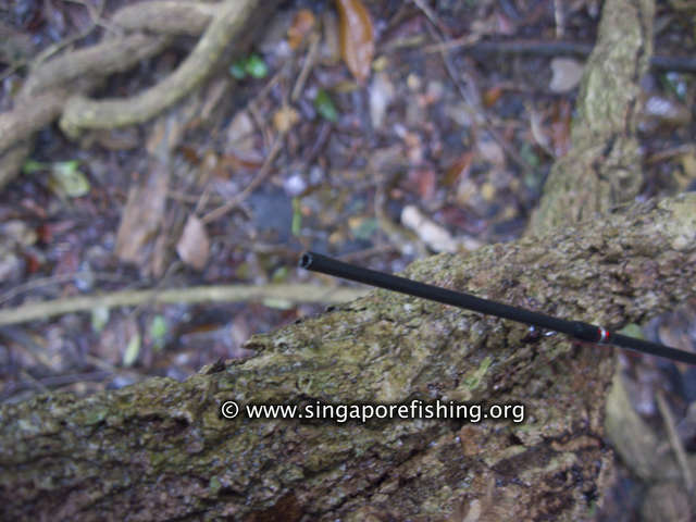 Broken rod Broken rod