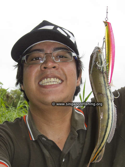 Baby toman Baby toman