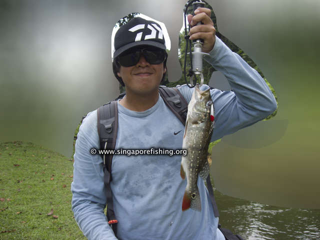 CRW_1044_edited_edited