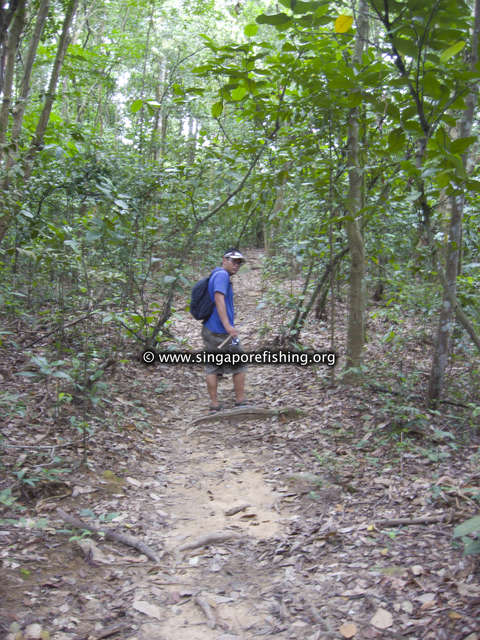 CRW_1085_edited_edited