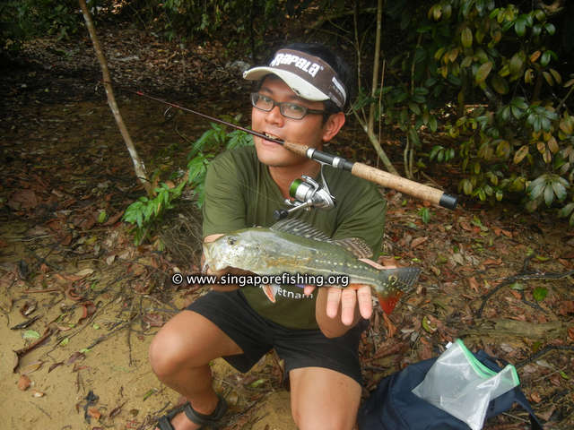 Nigel with another baby Temensis