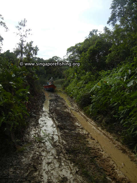 DSCN9849_edited_edited