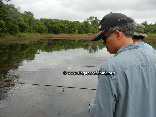 DSCN9885_edited_edited