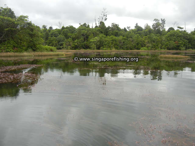 DSCN9892_edited_edited