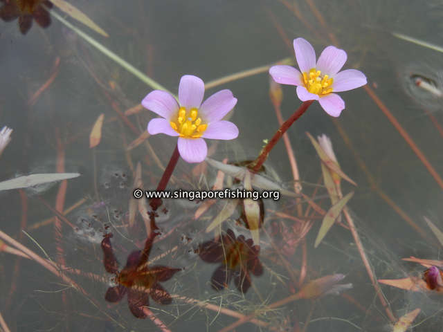 DSCN9900_edited_edited