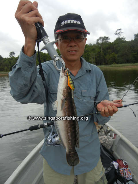 DSCN9906_edited_edited