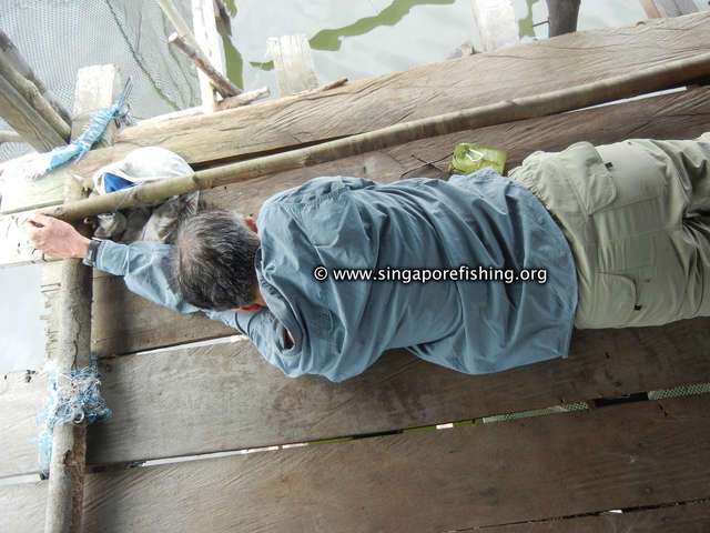 DSCN9928_edited_edited