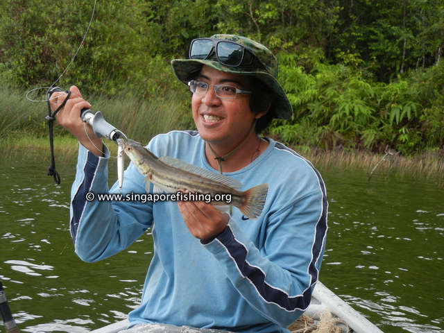 DSCN9945_edited_edited