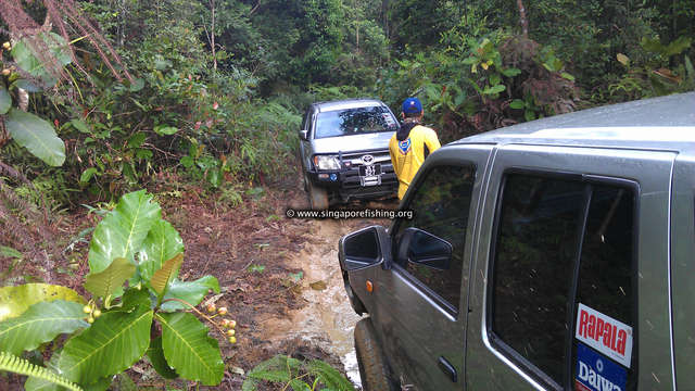 IMAG0238_edited_edited