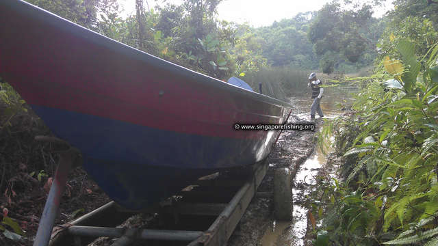 IMAG0239_edited_edited