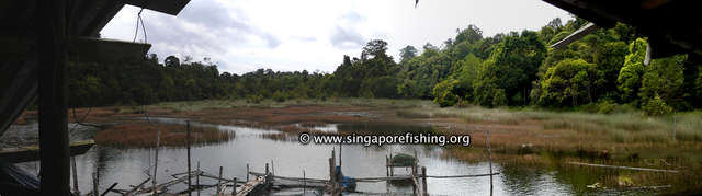 IMAG0240-0242_Panorama1