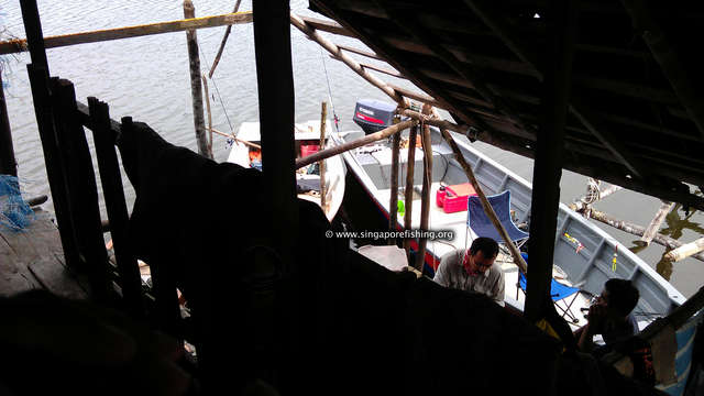 IMAG0243_edited_edited