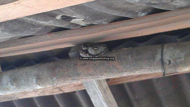 IMAG0245_edited_edited