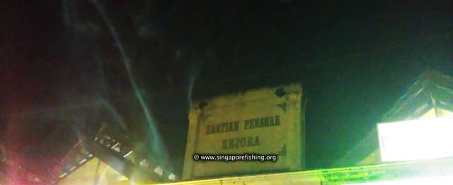 IMAG0251_edited_edited