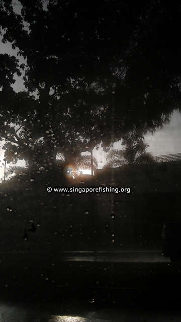 IMAG0265_edited_edited