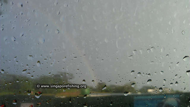 IMAG0269_edited_edited