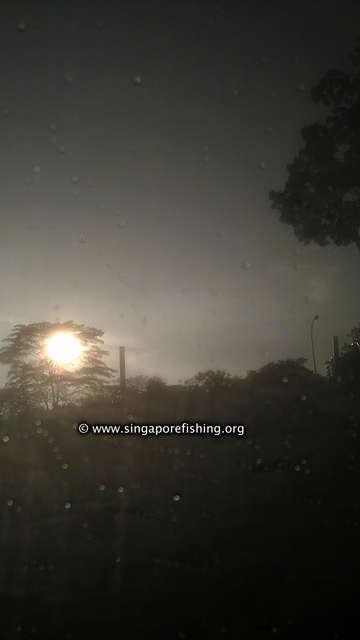 IMAG0271_edited_edited