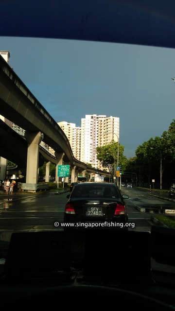 IMAG0272_edited_edited