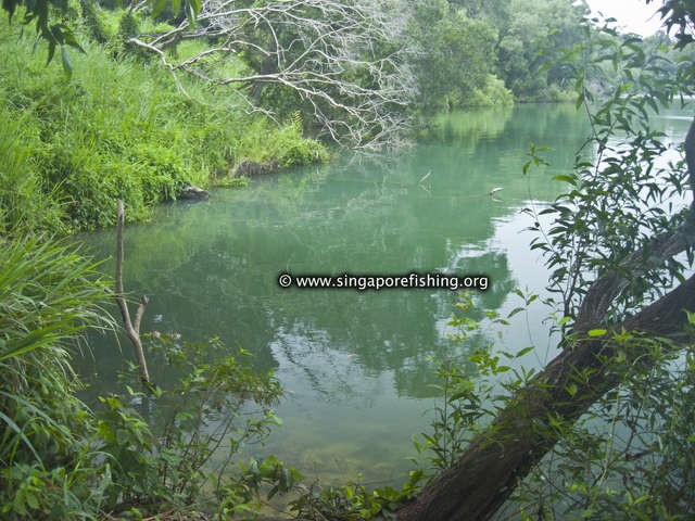 CRW_1185_edited_edited