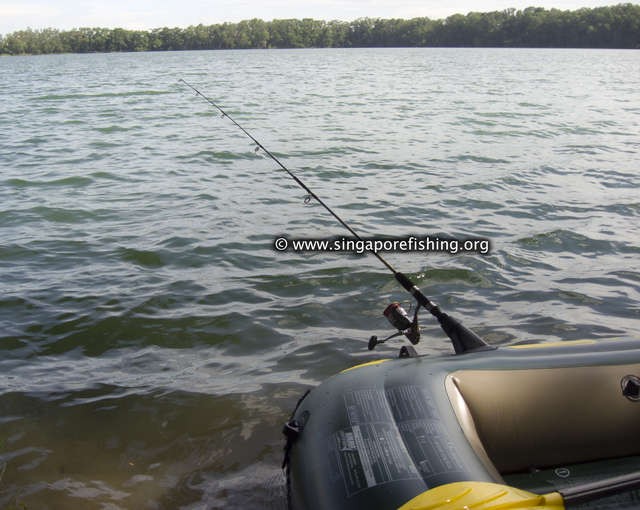 CRW_1190_edited_edited