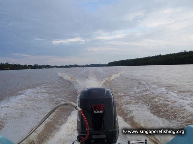 P3100005_edited_edited