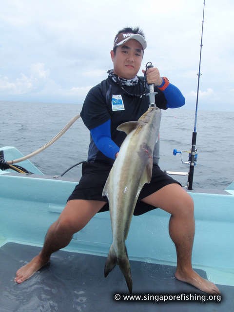 P3100010_edited_edited