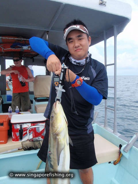 P3100018_edited_edited