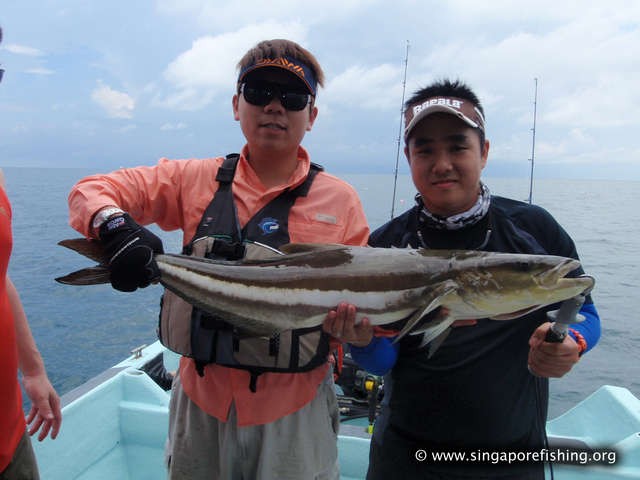 P3100022_edited_edited