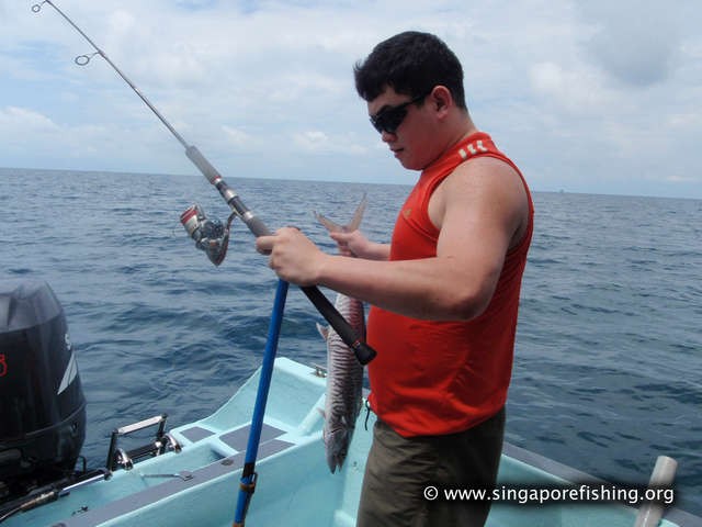 P3100031_edited_edited