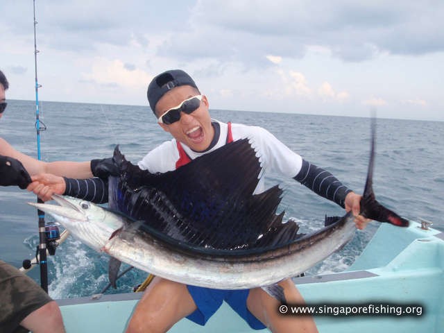 P3100042_edited_edited