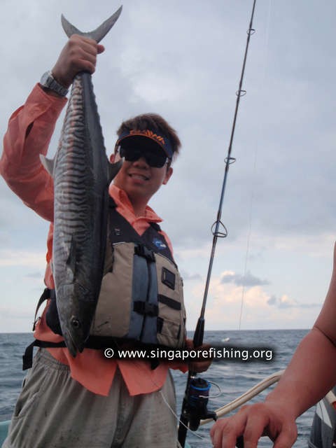 P3100046_edited_edited