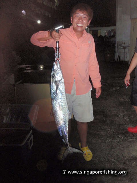 P3100050_edited_edited