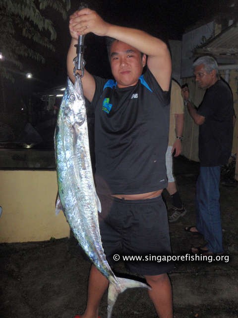 P3100054_edited_edited