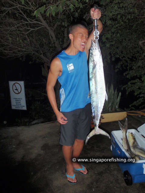 P3100056_edited_edited