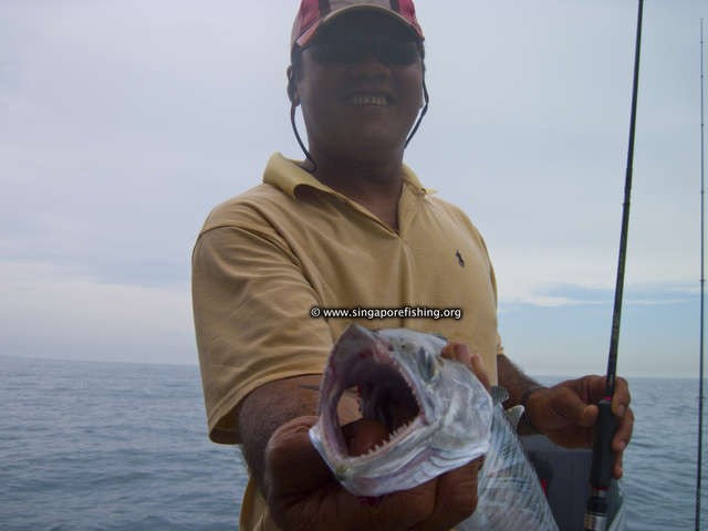 CRW_1442_edited_edited