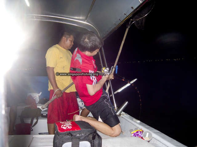 CRW_1446_edited_edited