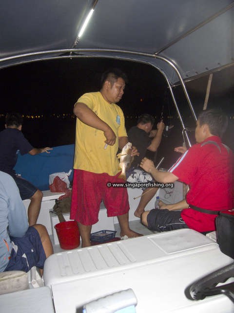 CRW_1449_edited_edited