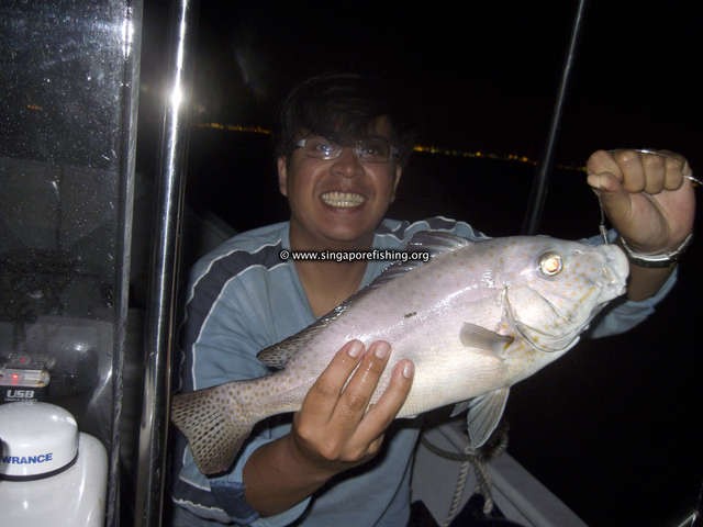 CRW_1462_edited_edited