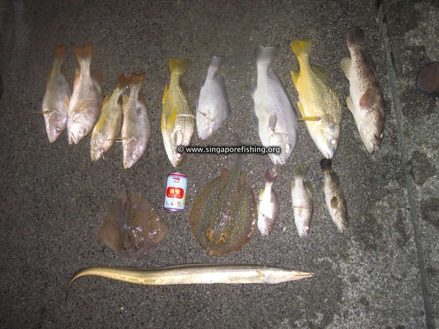 CRW_1468_edited_edited