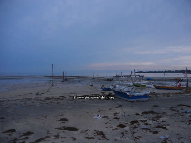 DSCN0006_edited_edited