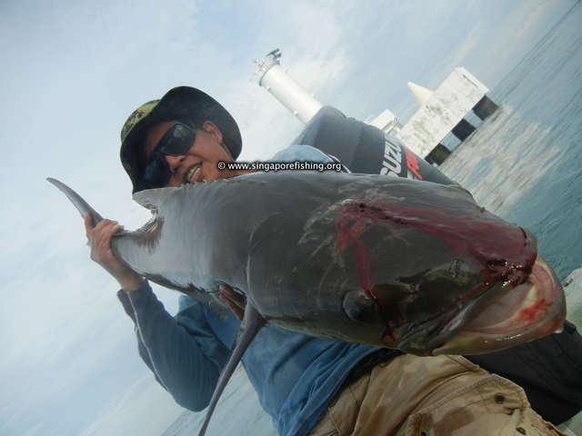 DSCN0047_edited_edited