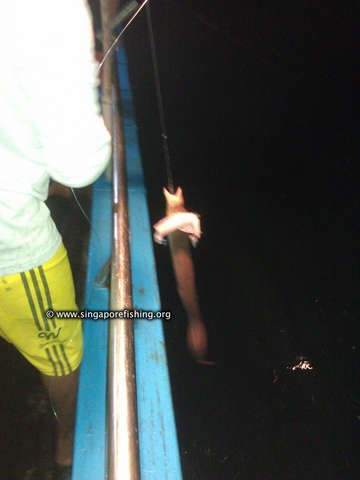 IMG_20120609_193812_edited