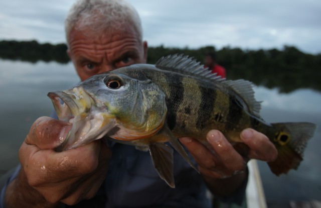 Jeremy Wade with Peacock Bass